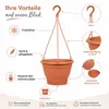 Blumentopf Hängeampel Lea Terrakotta Ø ca. 25 cm Produktbild-Vorschau 3