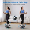 Mini Stepper Swing & Twist mit LCD & Widerstandsbändern – Produktbild-Vorschau 2