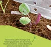A young plant seedling growing in soil, with a perforated plastic cover in the background. Produktbild-Vorschau