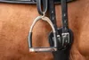 Equinate Sicherheitssteigbügel Charles 12cm Edelstahl Produktbild-Vorschau 7