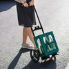 A person is pulling a shopping trolley with a green crate filled with bottles on a paved surface. Podgląd zdjęcia produktu