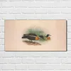 Coloray - Bild aus Glas - Glasbilder - 100 x 50 cm - Produktbild-Vorschau 2