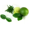 BALDUR Garten 1x Kaffir-Limette, Pflanze im 12 cm-Topf, Produktbild-Vorschau 2
