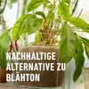 COMPOGRANUPLANT® INDOOR Granulés pour plantes 6 litres Voir les images du produit 8