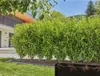 Gardena MDS Tropfrohr 1,6 l/h ober-/unterird Verlegung 25 m Anteprima dell’immagine prodotto 5