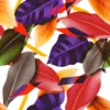 Coloray Fototapete 416x254 cm Latextapete Magicstick - Produktbild-Vorschau 2