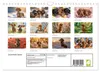 Zauberhafte Dackel (Wandkalender 2027 DIN A4 quer), Produktbild-Vorschau 2