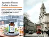 DR WAKDE'S Varuna Kapseln (Crataeva nurvula) | 60 Vegi Caps Produktbild-Vorschau 11