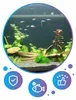 Sabbia per acquario bazaltica nera, fondo naturale 0,5-1 Anteprima dell’immagine prodotto 13