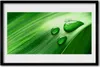 Bild 60x40 MDF-Rahmen Wandkunst Blatt Wassertropfen Produktbild-Vorschau 1