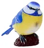Mojo Spielzeug Spielfigur Blaumeise - pädagogisches Produktbild-Vorschau 4