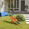 PawHut Altalena per cani Altalena per agility Giocattolo Anteprima dell’immagine prodotto 12