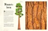 Wundervolle Welt der Natur Anteprima dell’immagine prodotto 7