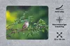MuchoWow® Mauspad Mousepad Vogel - Baum - Wald 23x19 cm - Produktbild-Vorschau 2