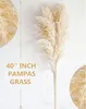 set di 10 erbe di pampa XXL (100 cm) per decorazioni boho - Anteprima dell’immagine prodotto 3