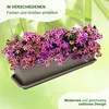 MePla - Set - Balkonkasten Balcony 60 cm + Untersetzer - Produktbild-Vorschau 2