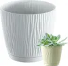 A large white planter is shown next to a smaller light yellow planter with a succulent plant. Anteprima dell’immagine prodotto