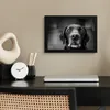 MuchoWow® MuchoWow® Gerahmtes Poster Tierprofil Labrador Produktbild-Vorschau 2