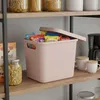 Plastard Aufbewahrungsbox 4er-Set, 12,5L, Lagerbox, Produktbild-Vorschau 3