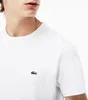 Lacoste Th6709 Kurzarm-t-shirt Weiß M Mann Weiß M Produktbild-Vorschau 21