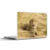 MuchoWow® Laptop Aufkleber Sticker Cover Gepard - Jung - Produktbild-Vorschau 1