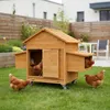 Mucola Hühnerstall inkl. 2 Nestboxen und Rampe Rollbar Produktbild-Vorschau 7