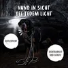 A dog wearing a reflective harness and leash stands in front of a car at night, with headlights illuminating the scene. Produktbild-Vorschau