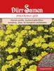 Steinkraut gelb | Steinkrautsamen von Dürr Samen Produktbild-Vorschau 3