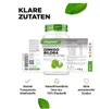Vit4ever Ginkgo Biloba 365 comprimés Voir les images du produit 5