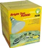 Lucky Reptile - Bright Sun FLOOD Desert - 70W Voir les images du produit 1