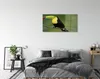 Glasbilder 140x70 Wandkunst Bunte Papageien auf einem Zweig Produktbild-Vorschau 3