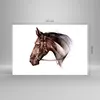 Bilder auf glas - Pferd Abstraktion - 120x80cm - Glasbilder Produktbild-Vorschau 3