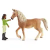 A toy horse and rider figurine set against a white background. Voir les images du produit
