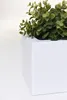 VIVANNO Bac à fleurs en fibre de verre FLOBO Bac, blanc mat Voir les images du produit 7