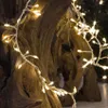 Catena luminosa a grappolo di LED in filo d'argento, 960 Anteprima dell’immagine prodotto 5