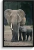 MuchoWow® MuchoWow® Gerahmtes Poster Elefant - Tiere - Produktbild-Vorschau 1