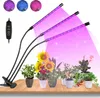 Clanmacy 30W rostoucí lampa LED lampa pro rostliny s plným Náhled obrázku produktu 1