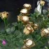 100 pièces Golden Rose graines de fleurs de croissance Voir les images du produit 5