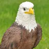 Dekofigur Gartenfigur Weißkopfseeadler Produktbild-Vorschau 6