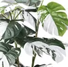 Kopu® Kunstpflanze Monstera Variegata 110 cm – 38 Blätter – Produktbild-Vorschau 2