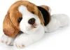 RAPPA Plüsch Beagle Hund liegend 30 cm ECO-FRIENDLY Produktbild-Vorschau 6