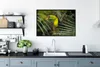 MuchoWow® MuchoWow® Gerahmtes Poster Tukan - Blätter - Produktbild-Vorschau 3