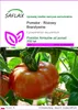 SAFLAX - Pomidor - Różowy Brandywine - 10 Nasiona - Podgląd zdjęcia produktu 1