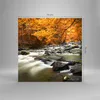Bilder auf glas - Stream Herbst Forrest Berg - 70x70cm - Produktbild-Vorschau 3