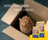 Josera 9362, Dorosły, Kurczak, Gruszka, Drób, Słodki Podgląd zdjęcia produktu 10