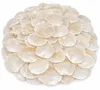 Perlmuttscheiben natur 1 kg ca. 200-300 Stück Capiz Produktbild-Vorschau 1