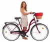 Dallas Bike Damenfahrrad 28 Zoll - Mit Weidenkorb - 1-Gang Produktbild-Vorschau 1