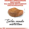 Royal Canin Feline British Shorthair - 4 kg Produktbild-Vorschau 3