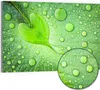 DEQORI Hybrid Leinwand Bild 90x60 cm 'Grüne Juwelen' Produktbild-Vorschau 1