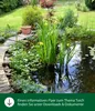 Dehner Aqua Goldfischfutter Flocken-Mix, 1 kg Produktbild-Vorschau 3